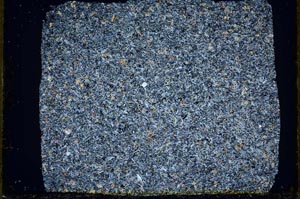 Cross Polarized, S33470