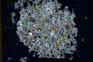 Cross Polarized, S33473