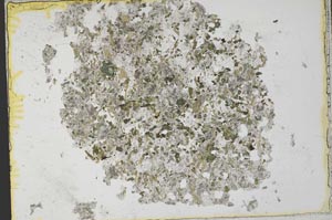 Plane Polarized, S33473