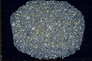 Cross Polarized, S33474