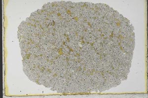 Plane Polarized, S33474