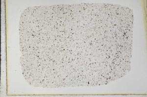 Plane Polarized, S33480