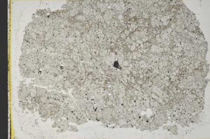 Plane Polarized, S33497