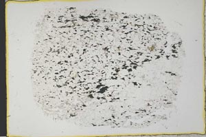 Plane Polarized, S33521
