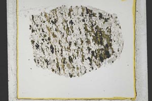 Plane Polarized, S33529