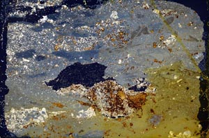 Cross Polarized, S33562