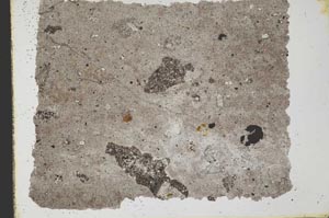 Plane Polarized, S33568