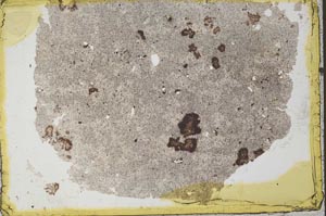 Plane Polarized, S33577