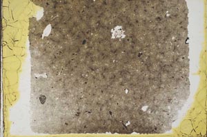 Plane Polarized, S33578