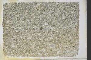 Plane Polarized, S33587