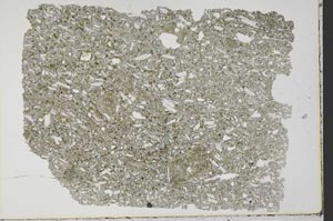 Plane Polarized, S33588