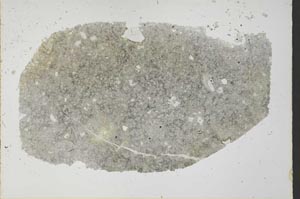 Plane Polarized, S33611
