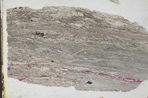 Plane Polarized, S33626