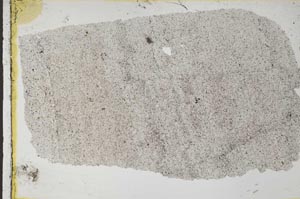 Plane Polarized, S33628