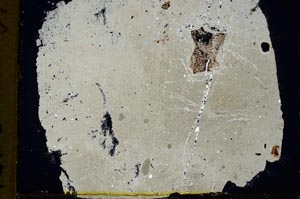 Cross Polarized, S33636