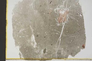 Plane Polarized, S33636