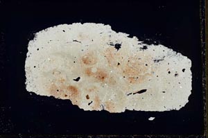 Cross Polarized, S33638/A