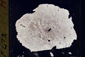 Cross Polarized, S33638/B