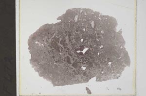 Plane Polarized, S33638/B