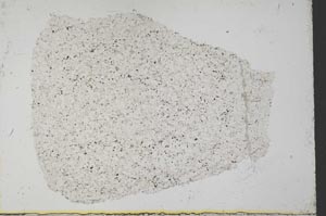 Plane Polarized, S33648