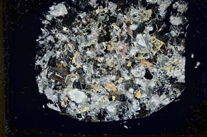 Cross Polarized, S33650