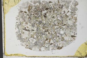 Plane Polarized, S33650