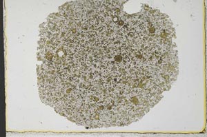 Plane Polarized, S33652