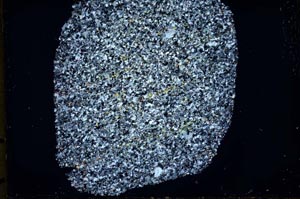 Cross Polarized, S33653