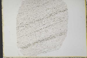 Plane Polarized, S33653