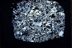 Cross Polarized, S33654