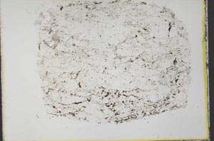 Plane Polarized, S33654