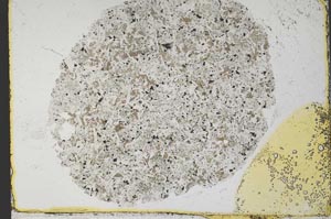 Plane Polarized, S33656