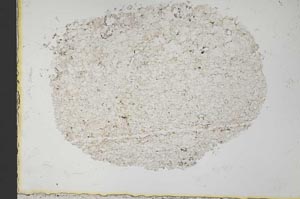 Plane Polarized, S33657