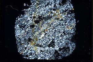 Cross Polarized, S33658