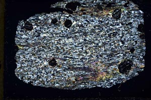 Cross Polarized, S33659