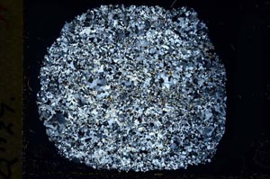 Cross Polarized, S33660