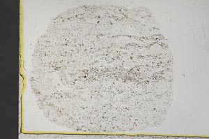 Plane Polarized, S33660