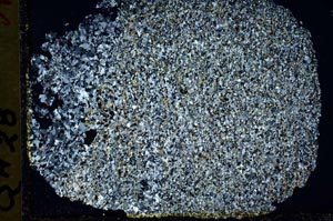 Cross Polarized, S33661