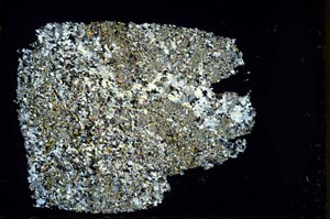 Cross Polarized, S33662