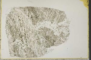 Plane Polarized, S33662