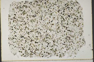 Plane Polarized, S33676