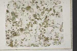 Plane Polarized, S33677