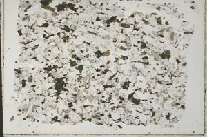 Plane Polarized, S33685