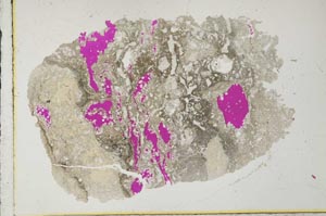 Plane Polarized, S33689