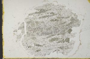 Plane Polarized, S33696