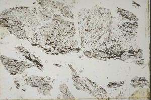 Plane Polarized, S33733