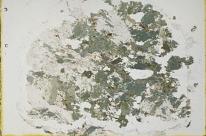 Plane Polarized, S33738