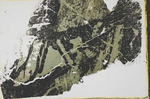 Plane Polarized, S33749