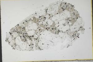 Plane Polarized, S33771