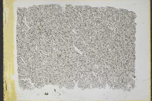 Plane Polarized, S33833